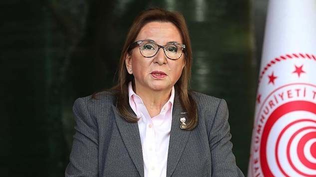 Pekcan: Bakü-Tiflis-Kars demir yolu ticaretin hizmetinde