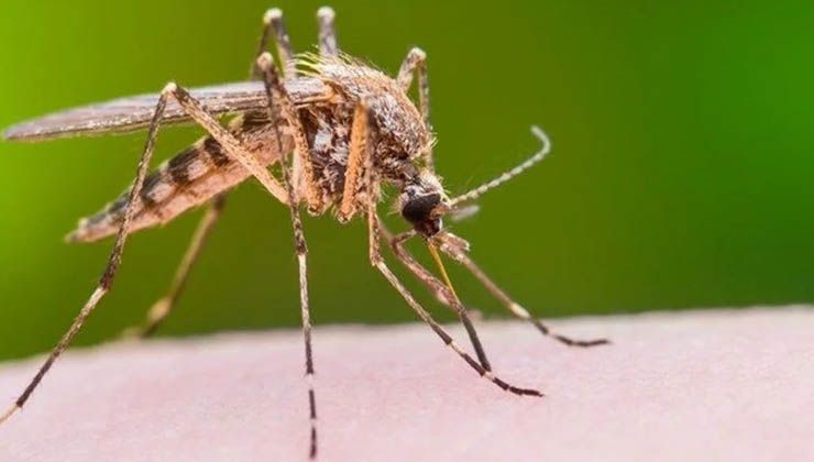 Komşuda kırmızı alarm: Tehlike Türkiye’ye de sıçrayabilir