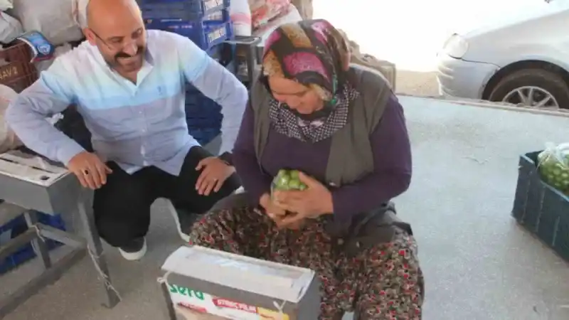 Kilosu 50 ile 350 TL arasında: Mersin’de açıkta erik hasadı başladı