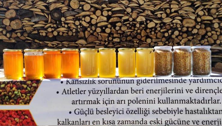 Arıcıların beyaz bal şaşkınlığı: Çiçekten kaynaklandığını düşünüyoruz