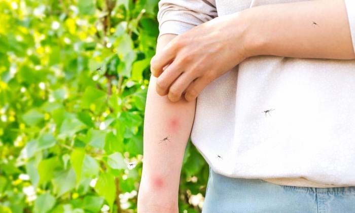 Dr. Savaş Vural’dan Batı Nil Virüsü uyarısı