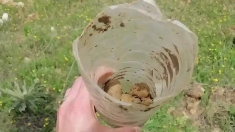 Koruma altındaki salep soğanlarını söken 2 kişiye 488 bin TL ceza Koruma altındaki salep soğanlarını söken 2 kişiye 488 bin TL ceza