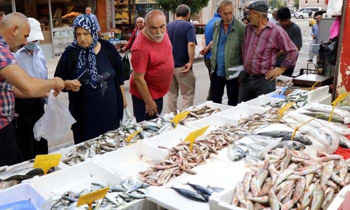 Çinakop tezgahlarda, gözler hala palamutta