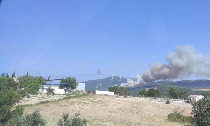 Soma’da farklı noktada ikinci orman yangını