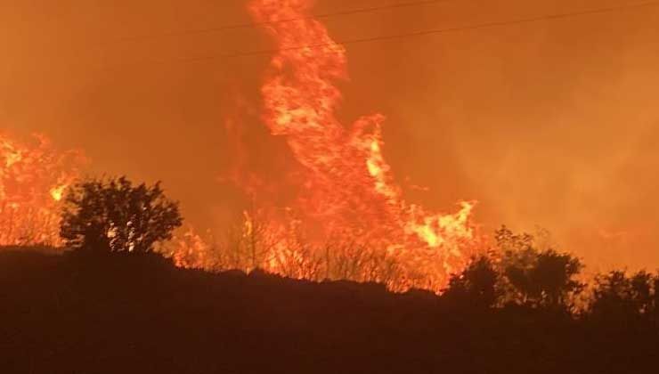 Mersin’deki orman yangını D-400 karayoluna ulaştı, yol kapatıldı