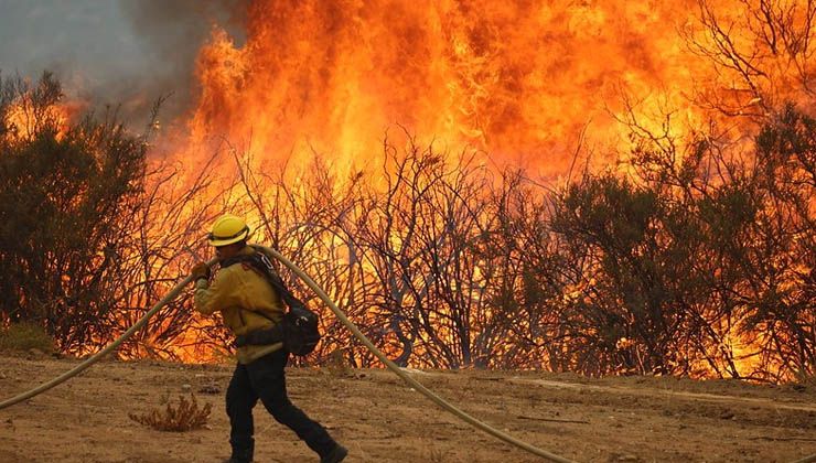 California’da orman yangınları sürüyor