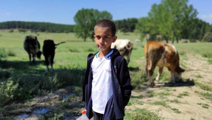 Boyundan büyük hayvanlara çobanlık yapıyor