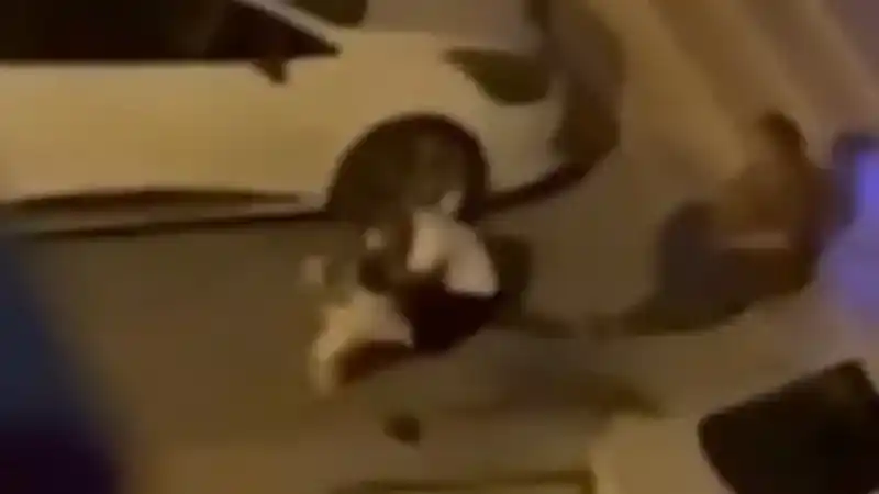 Adana’da evden kaçan pitbull dehşeti kamerada: Sahibini ve 2 kişiyi yaraladı