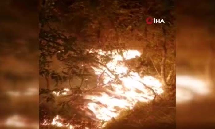 Kastamonu’da orman yangını: Ekiplerin hızlı müdahalesi ile söndürüldü