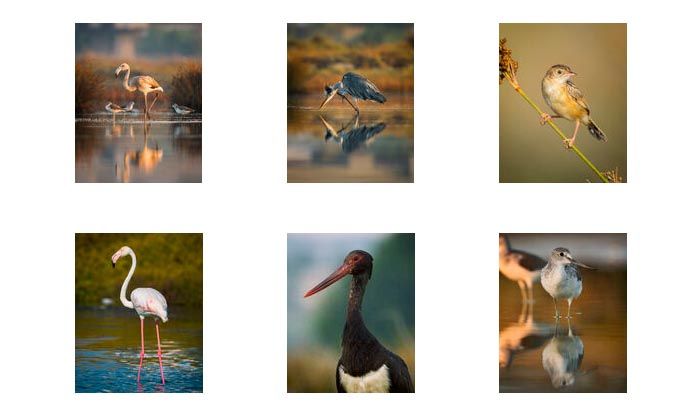 Doğaya Kanat Açtık projesi Ege Bölgesi’ndeydi