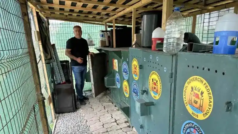 Pendik’te 11 bin Euro fiyatındaki güvercini çelik kulübelerde besliyor