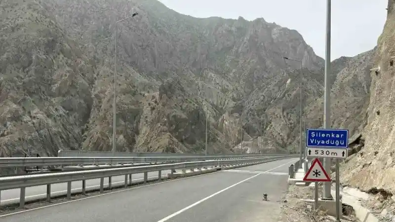 Artvin’de kayma ve çatlamaların meydana geldiği viyadük sürücüleri tedirgin ediyor