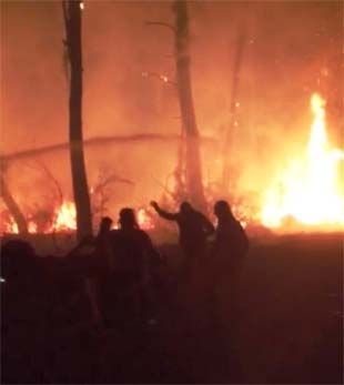 Muğla’daki orman yangınında alevler yerleşim yerlerini tehdit ediyor