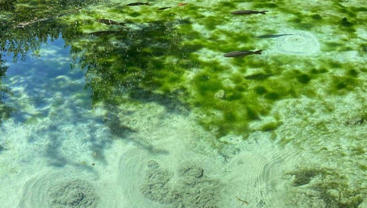 Şehrin ortasındaki Dipsiz Göl, görenleri büyülüyor