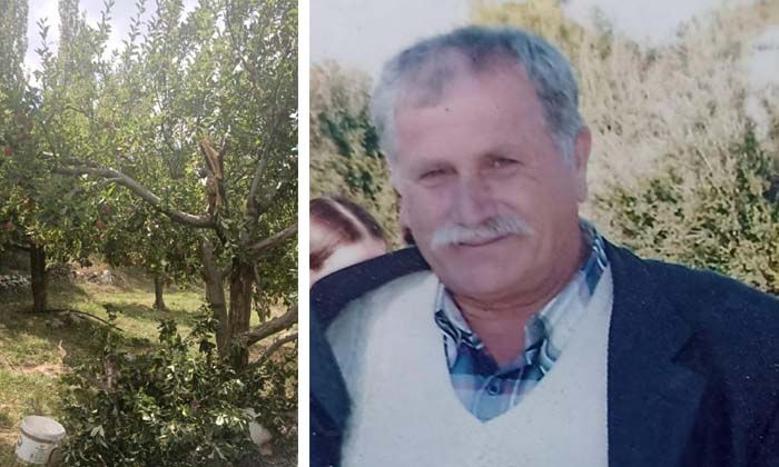 Muğla’da ağaçtan düşen Raşit Gürbüz hayatını kaybetti