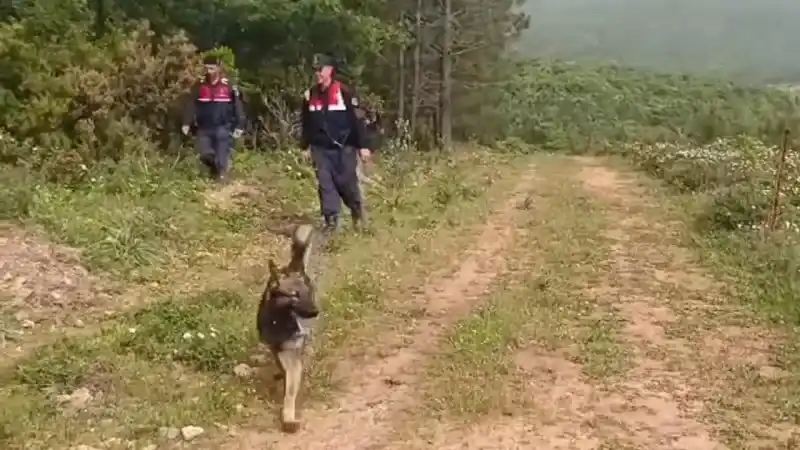 Korhan Berzeg’i arama çalışmalarında yeni bir bulgu Korhan Berzeg’i arama çalışmalarında yeni bir bulgu