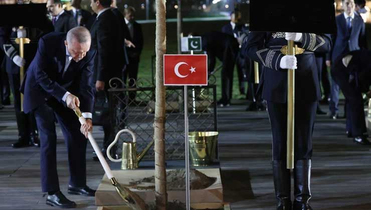 Cumhurbaşkanı Erdoğan, Semerkant’ta ağaç dikti