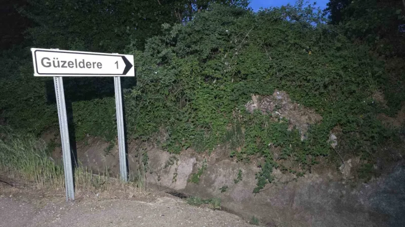 Tokat’ta kene istilası: “Her yerde kene var. Bu sene tutmadı ama tutmayacak diye bir kural yok” Tokat’ta kene istilası: “Her yerde kene var. Bu sene tutmadı ama tutmayacak diye bir kural yok”