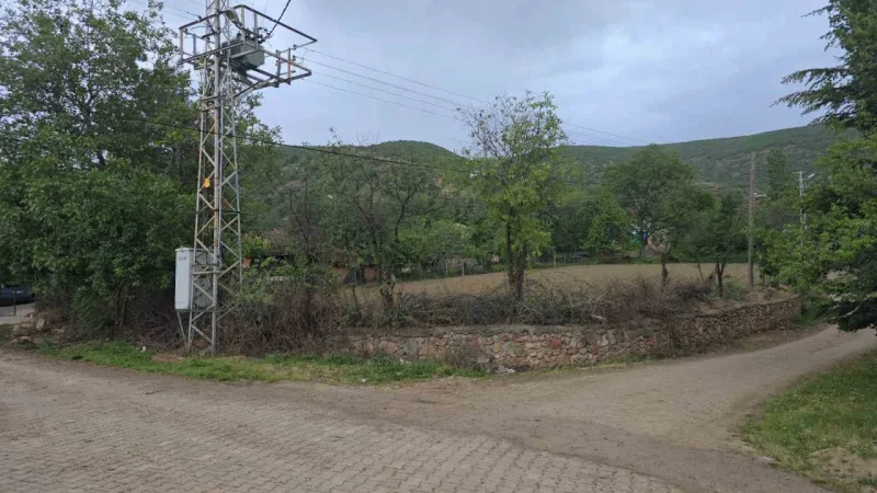 Tokat’ta kene istilası: “Her yerde kene var. Bu sene tutmadı ama tutmayacak diye bir kural yok” Tokat’ta kene istilası: “Her yerde kene var. Bu sene tutmadı ama tutmayacak diye bir kural yok”