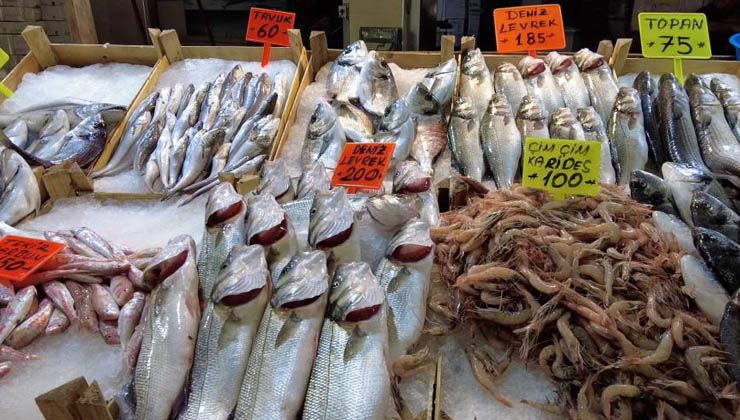 Ege’de balık tezgahları doldu, fiyatlar düştü