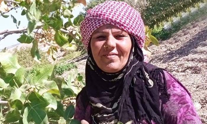 Otomobilin çarptığı Gamra Çin hayatını kaybetti