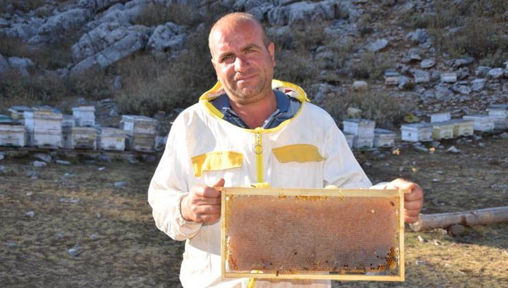 Siparişler kovandan çıkmadan alınıyor, kilogramı 300 TL’den satılıyor