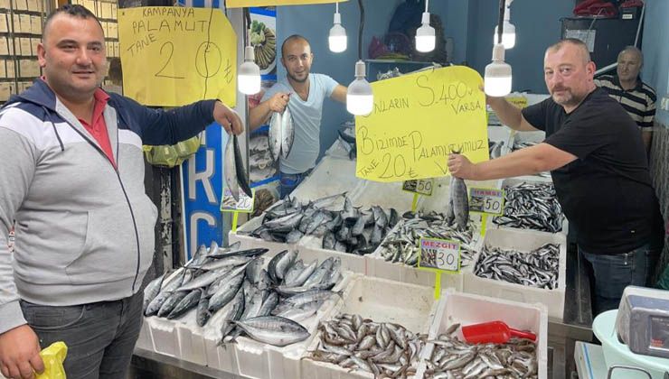 Ordu’da palamut balığını tanesi 20 liraya düştü