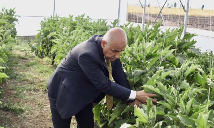 Bakan Kirişci: İlk 8 ayda tarım ürünleri ihracatımız 21.5 milyar dolar