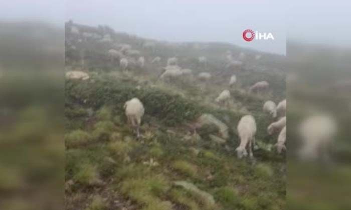 Uludağ’a ilk kar düştü