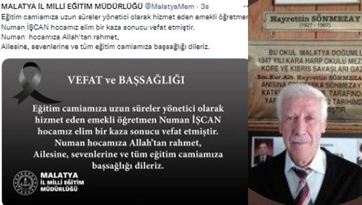 Ağaçtan düşen emekli müdür Numan İşcan hayatını kaybetti