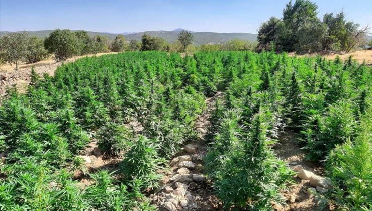 Eren Abluka’da 62 ayrı noktaya operasyon: Yüklü miktarda uyuşturucu ele geçirildi