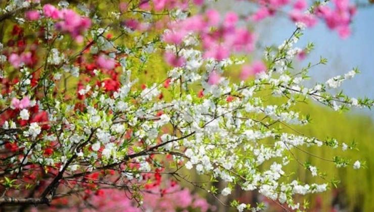 Sıcaklıklar artıyor, yaz havası geri geliyor