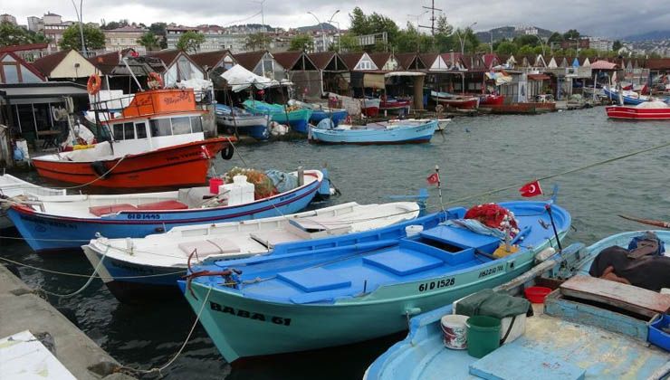 Kıyı balıkçıların umudu palamutta