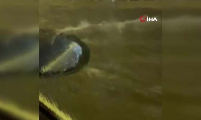 Hırvatistan’da sel felaketi: 1 ölü