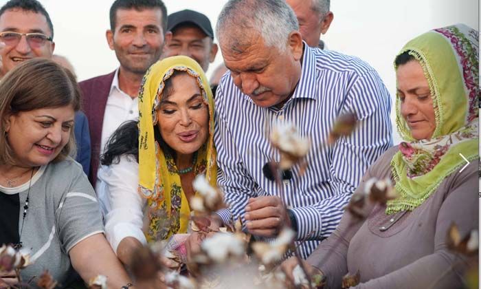 Yerli ve milli pamuk çeşidi Türkan’ın tanıtımı ve hasadı yapıldı