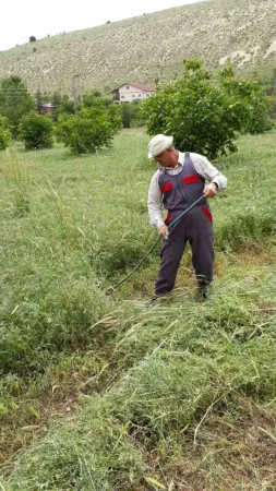1500 liraya çalıştıracak günübirlik işçi bulamıyor