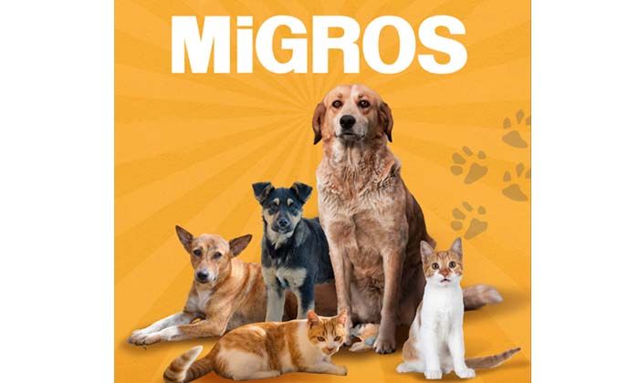 Migros sokak hayvanları için 4.423 ton gıda bağışladı