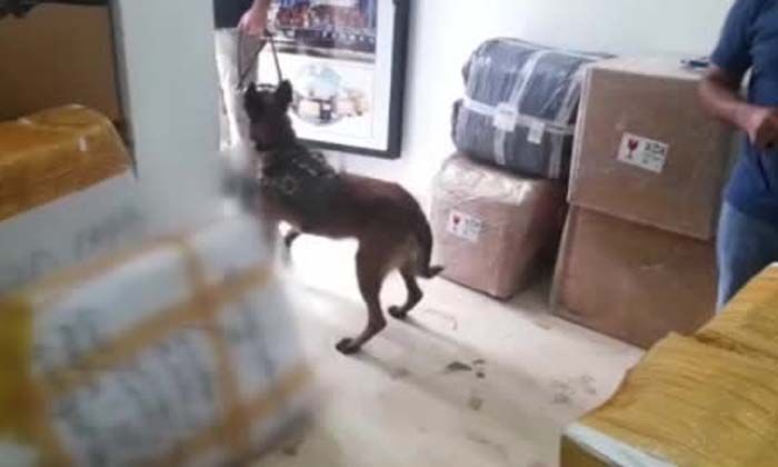 İstanbul’da ‘torbacı’ operasyonu: 293 kişi tutuklandı