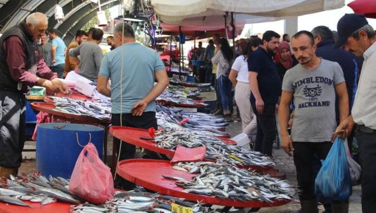 Hamsi, balık tezgahlarını süsledi: Kilosu 40-50 lira