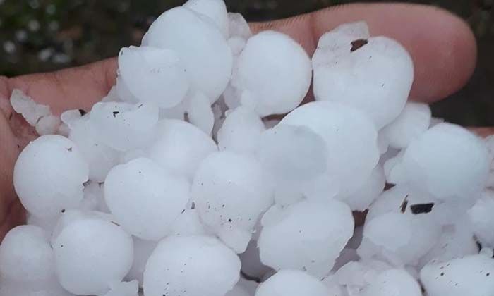 Trabzon’un Şalpazarı ilçesinde dolu yağışı etkili oldu