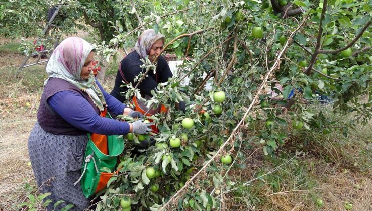 İşsizliği bitiren bu köy, il ve ilçelerden göç alıyor