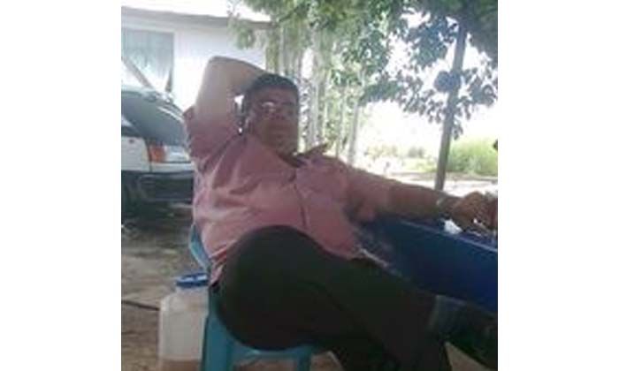 Ata çarpan otomobilin sürücüsü hayatını kaybetti