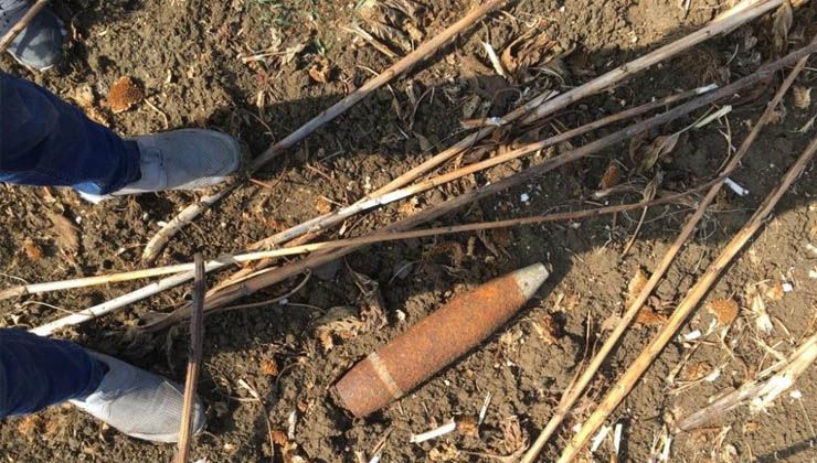 Ayçiçeği toplamaya giden çiftçi buldu, görenler şoke oldu