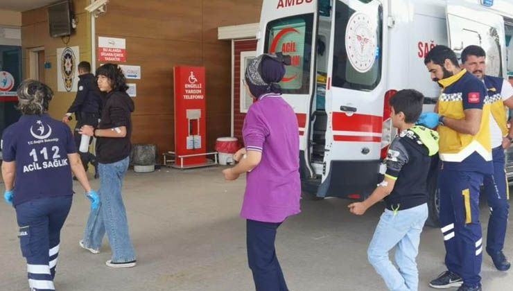 Teneffüsteki 15 öğrenciyi arılar soktu, okula 1 gün ara verildi