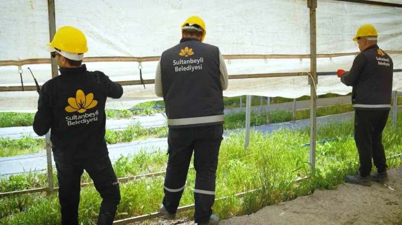 Sultanbeyli’de kurban hazırlıkları tüm hızıyla sürüyor: Yüzde 60’ı tamamlandı Sultanbeyli’de kurban hazırlıkları tüm hızıyla sürüyor: Yüzde 60’ı tamamlandı