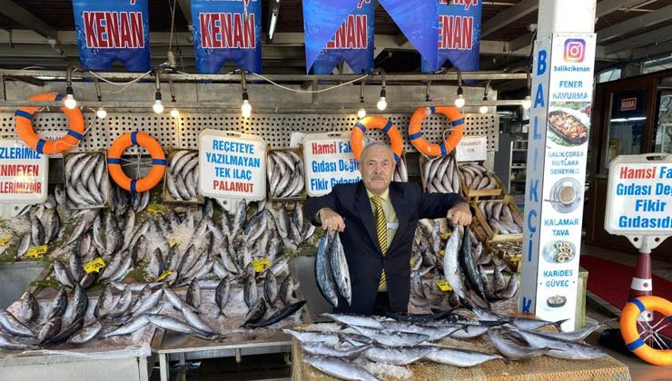 Palamutta bolluk sürüyor, tezgahlarda 50 ile 70 lira arasında satılıyor