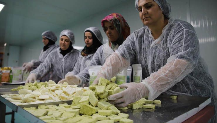 Kadın üreticilerden bir ilk! Kurutulmuş dondurma