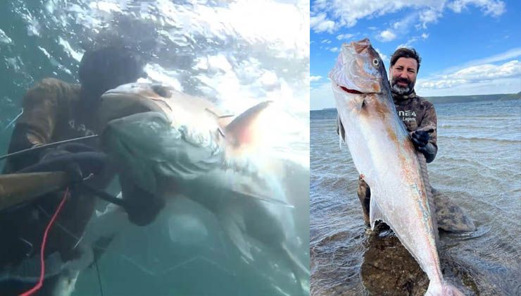 Rekortmen dalgıç Müjdat Turan, 40 kiloluk boyu kadar akya avladı