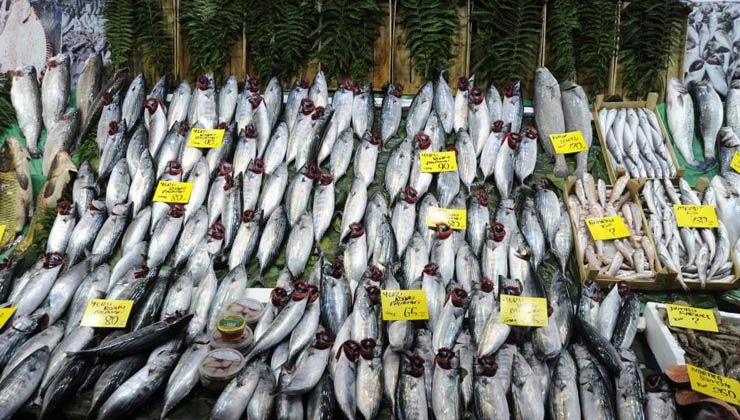 Balık tezgahlarında palamut bolluğu devam ediyor