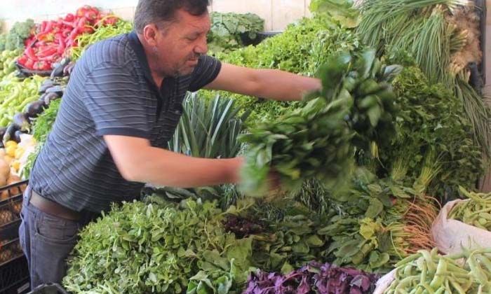 Yağmur yağmazsa ıspanakta fiyat yükselecek
